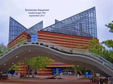 Tennessee Aquarium -- Chattanooga September 2011 | Opened in… | Flickr