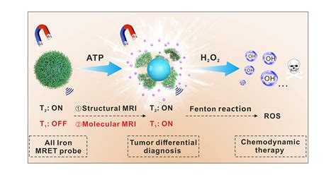 Structural and Molecular Fusion MRI Nanoprobe for Differential Diagnosis of Malignant Tumors and ...