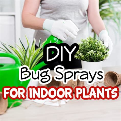 Insecticide For Plants