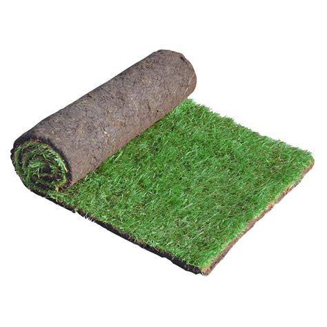 Lawn Turf (W)610mm (L)1370mm, Roll Of 40 | Departments | DIY at B&Q