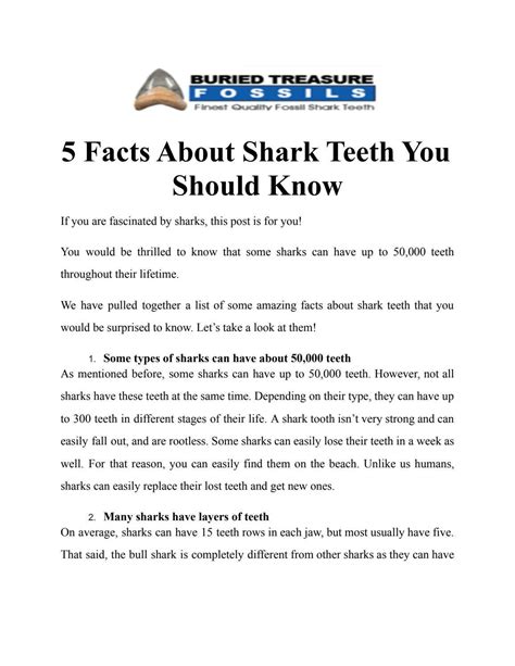 5 Facts About Shark Teeth You Should Know by Buried Treasure Fossils ...