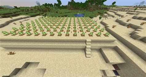 Trees Schematic Minecraft – Telegraph