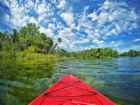 Crystal River Florida Kayaking - Clearwater Beach Blog