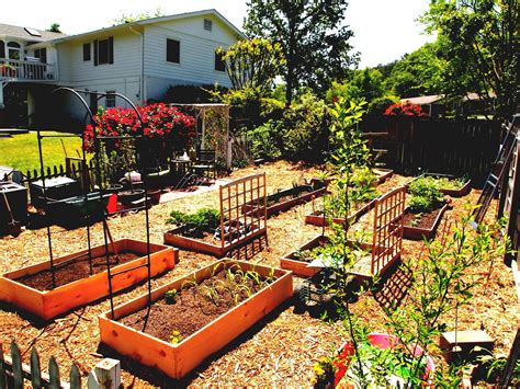 15 Best Vegetable Garden Design Ideas To Consider | SharonSable