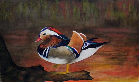 Mandarin Duck #1 Painting by Michael A Davis - Fine Art America