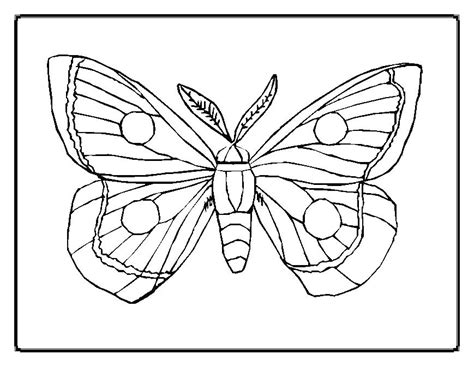 Eric Carle Coloring Pages at GetColorings.com | Free printable colorings pages to print and color