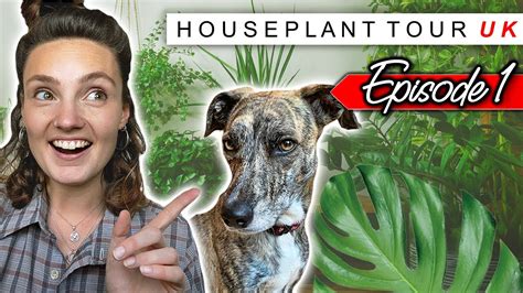 HOUSE PLANT TOUR UK | Episode 1 🌿 Pulborough Garden Centre - YouTube