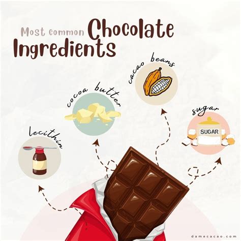 Complete Guide to The Ingredients In Chocolate