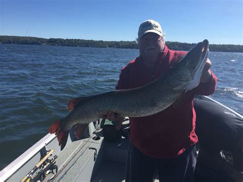 46" Muskie North Twin Lake, Phelps, WI September 2015 | Twin lake, Fishing trip, Lake