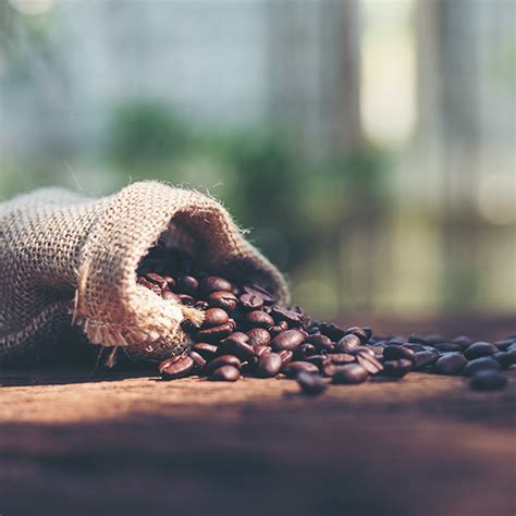 good coffee beans – Better Coffee At Home