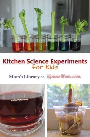 6 Kitchen Science Experiments for Kids