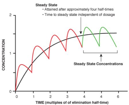 steady state | The Truth About Forensic Science