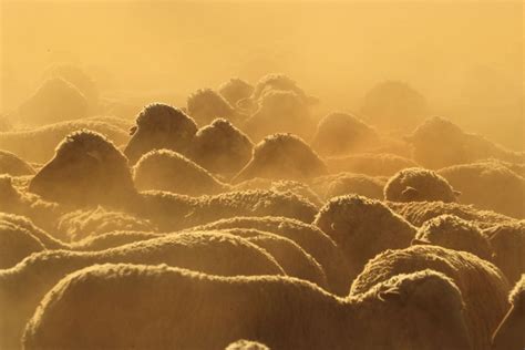 Photos: A January Heat Wave in Australia - The Atlantic