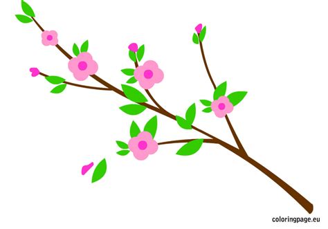 Free Flowering Branch Cliparts, Download Free Flowering Branch Cliparts png images, Free ...