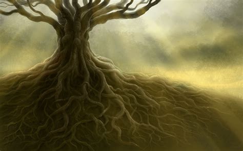 Tree Roots Wallpapers - Top Free Tree Roots Backgrounds - WallpaperAccess