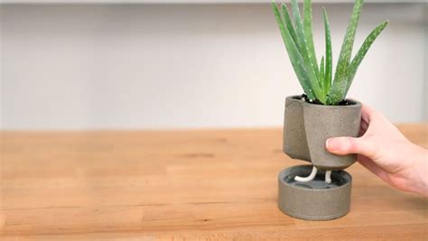 20 DIY Self Watering Planters