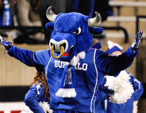 The 50 Best College Mascots You Will See During March Madness - CBSSports.com