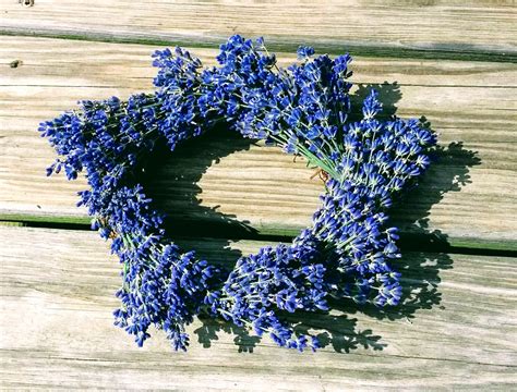 U-Pick & Make a Fresh Lavender Wreath Class - Helen, Georgia