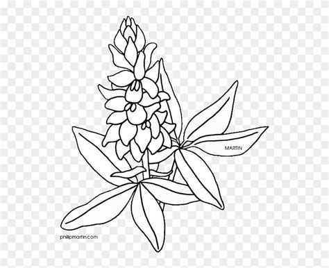 Download and share clipart about Bluebonnet Coloring Page Eassume Com ...