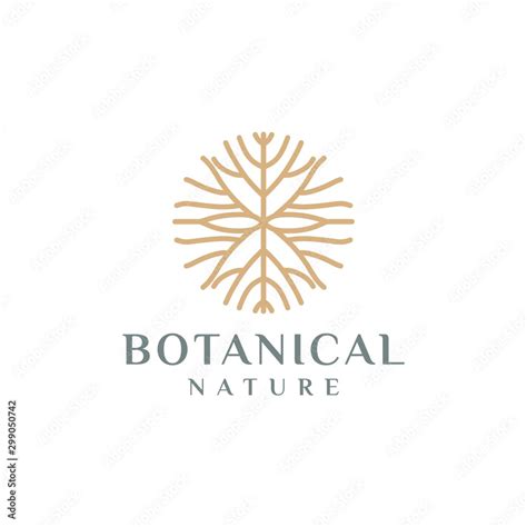 root logo, root concept of natural vector lines illustration Stock ...