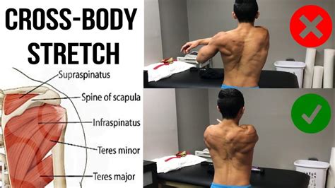 How to Properly Perform The Cross Body Stretch - Have You Been Doing It Wrong This WHOLE Time ...