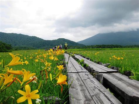 Cool Treks Around Tokyo (3): Oze National Park in Gunma Prefecture | WAttention.com