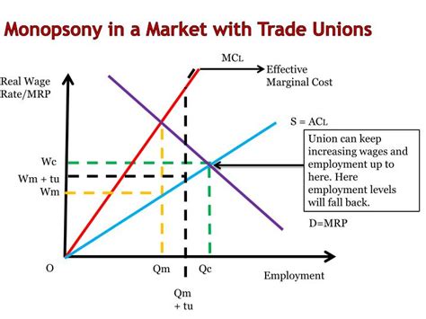 PPT - Monopsony in the Labour Market PowerPoint Presentation - ID:2993618