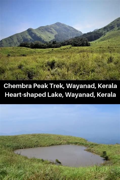 Chembra Peak Trek - Wayanad Trekking, Kerala, India | Voyager - Sandy N ...