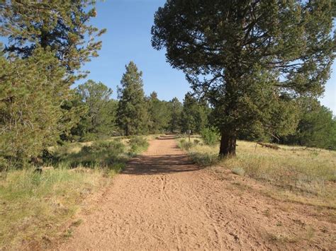 Mueller State Park – Divide, CO | Biking, Camping, Hiking, Horseback Riding