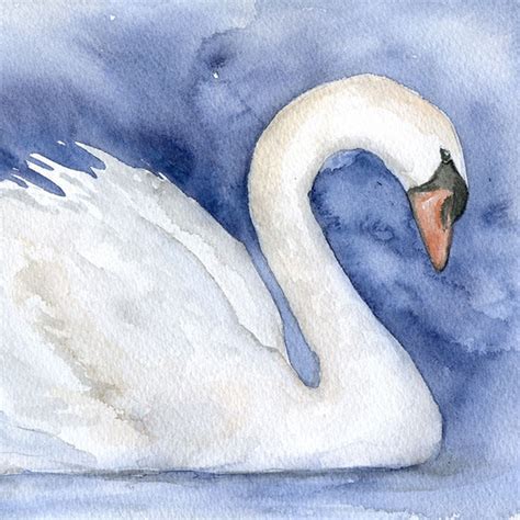 Swan Original Watercolor Painting – Susan Windsor