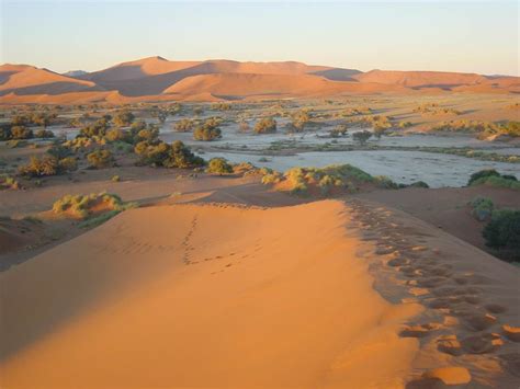 7 Days Dunes & Wildlife Experience – SAN AFRICA Holidays and Tours