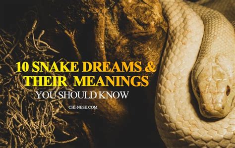 10 Dreams About Snake And Their Spiritual Meaning & Symbolism