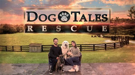 Dog Tales Rescue - Bell Media