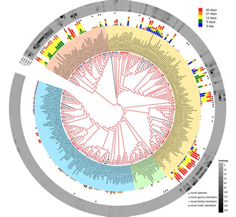 Phylogenetic tree of bacteria cultured from the three marine sediment... | Download Scientific ...