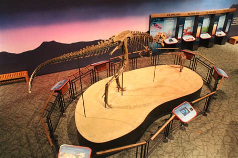 Dinosaurs in Illinois?! The Rockford Burpee Museum