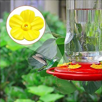 What Pops Off Hummingbird Feeder Flowers – Nature Blog Network