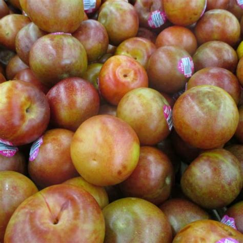 When Does Pluot Season Being (and End)?