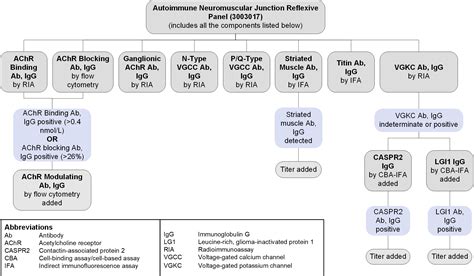 Autoimmune Neuromuscular Junction Reflexive Panel | Test Fact Sheet