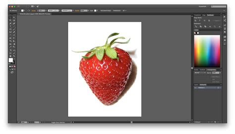 Adobe Illustrator Tutorials Beginner | Examples and Forms