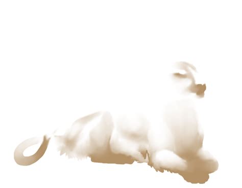 Cat Dog Ear Canidae Tail - Cat png download - 640*500 - Free ...