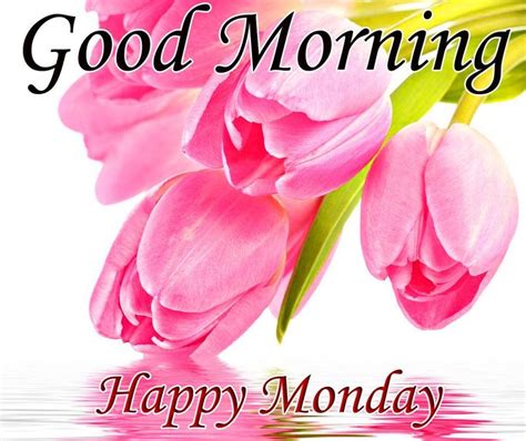 best Good morning and happy Monday wishes with pink Tulips flower in 2020 | Monday wishes ...