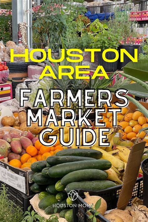 Houston Area Farmers Markets Guide