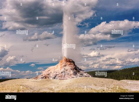 Eruption of White Dome geyser at Yellowstone National Park Stock Photo - Alamy