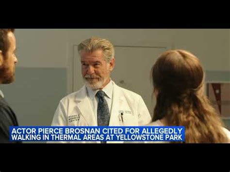 Pierce Brosnan Faces Court Date After Allegedly Breaking Rules At ...