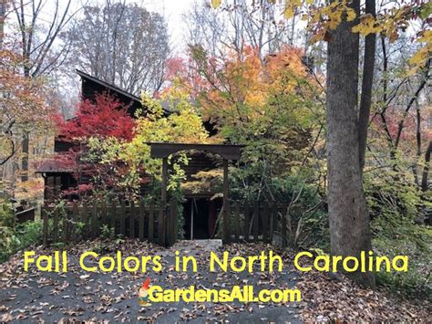 Fall Colors in North Carolina - GardensAll