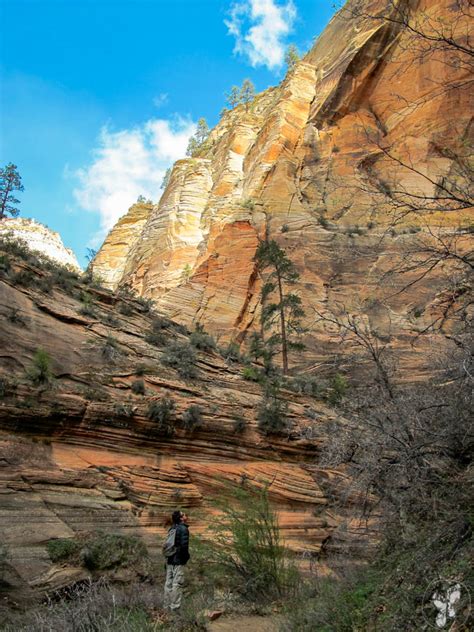 Bearfoot Theory | Zion National Park: The epic hike to Observation Point - Bearfoot Theory