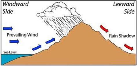 draw a well labelled diagram showing orographic rainfall - Brainly.in