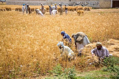 Govt to Include Farm Package Worth Rs.110 Billion in Upcoming Budget – Startup Pakistan