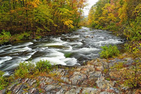 Watching it all go by at Beaver's Bend Broken Bow Fall Foliage Oklahoma Photograph by Silvio Ligutti