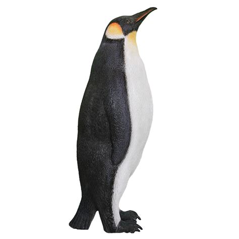 King Penguin PNG Free Download - PNG All | PNG All